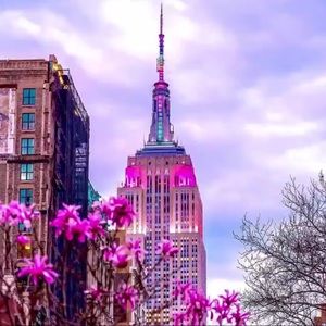 Meet your Posher, Dani